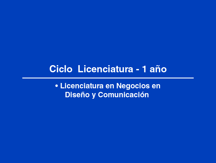 Presentación Visual licnegocio 2
